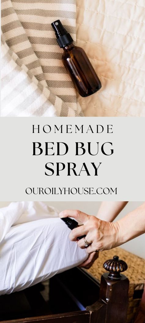 Natural Bed Bug Repellent, Bed Bugs Essential Oils, Essential Oil Bug Repellent, Bed Spray, Essential Oil Bug Spray, Essential Oil Spray Recipes, Bug Repellent Spray, Homemade Bug Spray, Homemade Beds