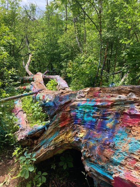 Hippie tree ☮️ ✌️ Tree Hangout, Hippie Core, Hangout Spot, Traverse City Mi, Traverse City, Abandoned Buildings, Cloud 9, Outdoor Art, Public Space