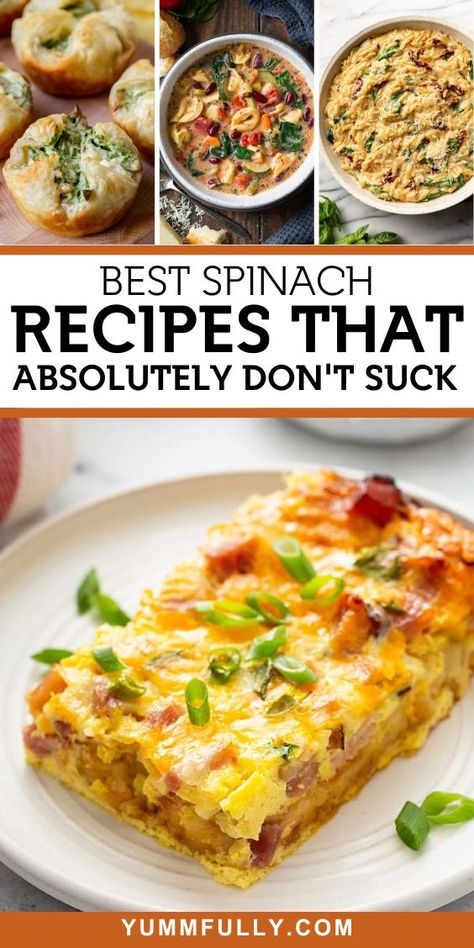 Best Spinach Recipes That Absolutely Don't Suck - Yummy and fully Frozen Spinach Recipes, Best Spinach Recipes, Baby Spinach Recipes, Spinach Recipes Healthy, Creamy Chicken Dish, Resep Vegan, Spinach Quiche Recipes, Slow Cooker Ground Beef, Spinach And Artichoke Dip