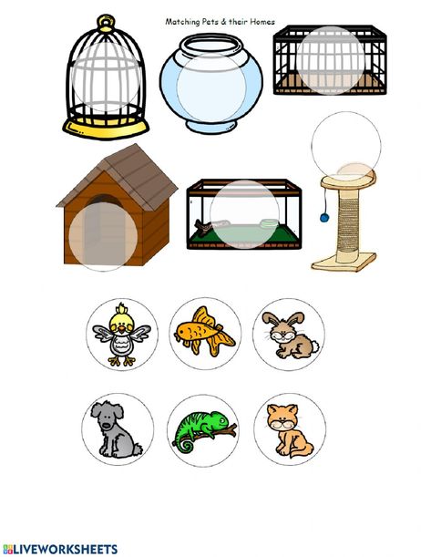 Pet Animal Activities For Preschool, Pet Pictures Ideas, Pets For Preschoolers Activities, Home Pets Preschool Activities, Pets Activities Preschool, Pets Worksheets Preschool, Pet Animals Worksheet, Animals House Worksheet, Domestic Animals Worksheets