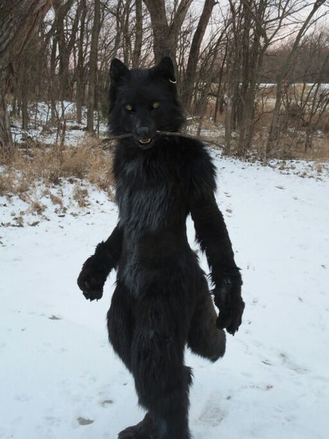 Werewolf fursuit 2 Wolf Inspired Outfits Male, Black Wolf Costume, Werewolf Cosplay Men, Realistic Wolf Fursuit, Cute Werewolf Costume, Werewolf Fursuit, Realistic Wolf Mask, Bear Fursuit, Black Fursuit