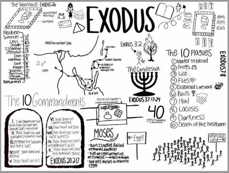 Bible Reading Challenge – Exodus Activities – Magnify Him Together Exodus Summary, Exodus Bible Study, Bible Study Exodus, Bible Reading Challenge, The Book Of Exodus, Exodus Bible, Bible Overview, Bible Study Worksheet, Journal Bible Quotes