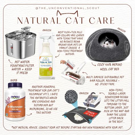 You may not think about cat care from a natural or holistic standpoint, but here's how I think of it. I choose organic, real food for myself and my family because I know it's what our bodies are designed to eat...and I know giving our bodies whole, quality foods in a toxic overburdened modern world is the best choice to help keep us healthy and strong. So...I carry that over when making choices for my fur baby. Cats are carnivores. They are not designed to eat highly processed grains and byprodu Healthy Cat Meals, Cat Products Pet Care, Best Cat Food For Indoor Cats, Healthy Cat Food Recipes, Coconut Oil For Cats, Healthy Cat Food, Natural Cat Food, Making Choices, Cat Diet