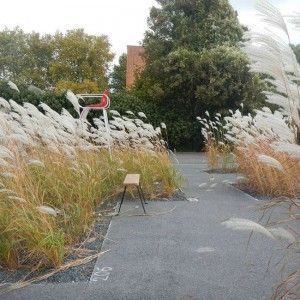 © Studio Basta Architecture Texture, Landscaping Architecture, Landscape Gardening, Urban Landscape Design, Grasses Garden, Modern Landscape, Landscape And Urbanism, Landscape Plans, Rain Garden