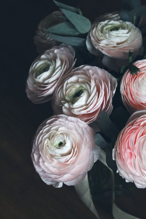 My amazing flowers! #ranunculus #weddingbouquets #weddingflowers #ranunculuswedding Flowers Ranunculus, Ranunculus Wedding, Ranunculus, Amazing Flowers, Wedding Flowers, Plants, Flowers