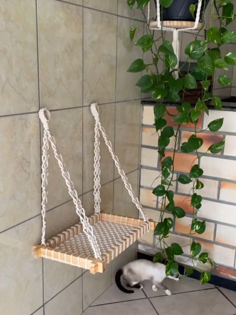 Diy Hanging Cat Basket, Diy Cat Hanging Bed, Crochet Cat Hammock, Cat Ideas For Home, Cat Macrame, Diy Cat Hammock, Cat Tree Designs, Macrame Cat Hammock, Pet Bunny Rabbits