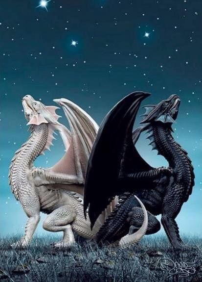 Black and White... Two dragons that are so different yet very similar for those of us who can see it Dragon's Lair, Cool Dragons, Fairy Dragon, Beautiful Dragon, Dragon Pictures, White Dragon, Dragon Artwork, Mythological Creatures, Dragon Drawing