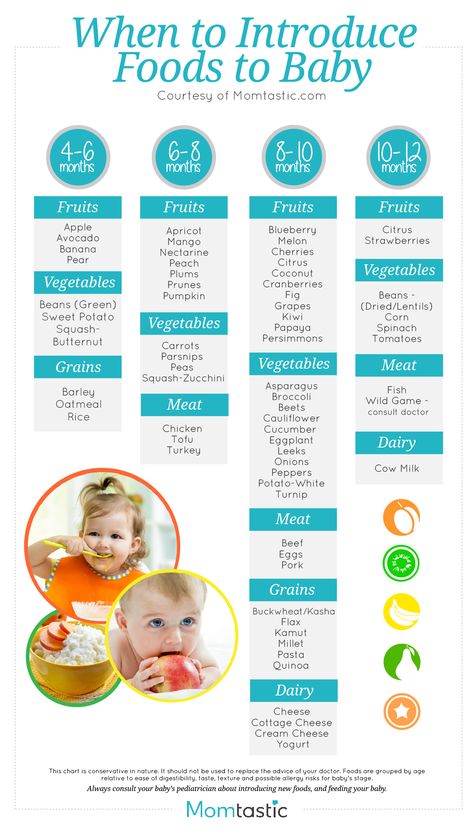 Click for a printer-friendly version! Perfect for Moms-to-be! Postpartum Hacks, Food Schedule, Perlengkapan Bayi Diy, Baby Fruit, Baby Help, Food Program, Baby Foods, Campervan Life, Baby Weaning