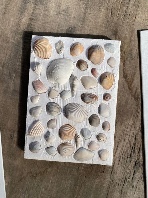 art shells ocean shell decor decorations diy do it yourself canvas with spackle Seashell Art Spackle, Shells On A Canvas, Seashell Art On Canvas, Shell Spackle Art, Seashell Art Canvas, Diy Seashell Wall Art, Shells On Canvas Diy, Plaster Shell Art, Seashell Plaster Art