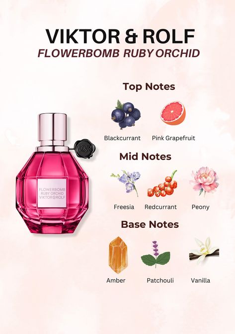 Experience opulence with Viktor & Rolf Ruby Orchid! Delight in the top notes of pink grapefruit and blackcurrant, followed by the enchanting mid notes of freesia, redcurrant, and peony. Dive into the depths of sophistication with the base notes of amber, patchouli, and vanilla. Elevate your senses and click now to indulge in this exquisite fragrance journey! 🌺✨ #ViktorAndRolf #RubyOrchid #LuxuryPerfume #FragranceNotes Flowerbomb Nectar Perfume, Victor Rolf Perfume, Viktor Rolf Perfume, Victor And Rolf Flowerbomb, Flowerbomb Ruby Orchid, Orchid Perfume, Vanilla Perfumes, Flowerbomb Perfume, Perfume Ingredients