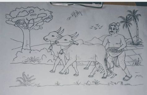 Farmers day Farmer Drawing Sketch, Tamil Greetings, Farmers Day, Happy Pongal, Pencil Sketch Drawing, Beautiful Sketches, Poster Drawing, Cards Design, Greeting Card Design