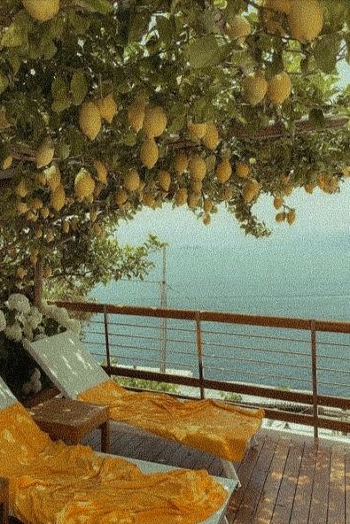 Italian Summer Photography, Vacation Italy Aesthetic, Italian Landscape Aesthetic, Lemon Aesthetic Vintage, Lemon Tree Italy, Vintage Italian Aesthetic, Eleanor Core, Summer Italy Aesthetic, Grainy Aesthetic