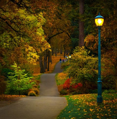 Happiness is an Evening Walk in the Park | Flickr - Photo Sharing! Salem Oregon, State Of Oregon, Evening Walk, Oregon Washington, Autumn Scenes, Oregon Travel, Autumn Scenery, I Love Fall, Autumn Beauty