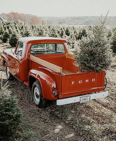 Little Red Truck Hauling A Christmas Tree, Old Red Ford Truck, Red Truck Christmas Tree Wallpaper, Farm Truck Aesthetic, Little Red Truck Christmas Tree, Christmas Farm Aesthetic, The Christmas Tree Farm Book Aesthetic, Ios 16 Christmas, Old Country Christmas