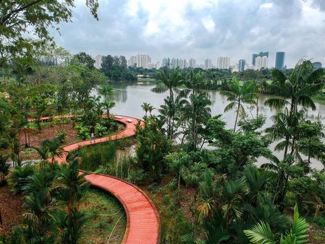 Lakeside Garden, Mangrove Swamp, Water Playground, Lake Garden, Better Homes And Garden, Wildlife Habitat, Gardens By The Bay, Nature Trail, Travel Aesthetic