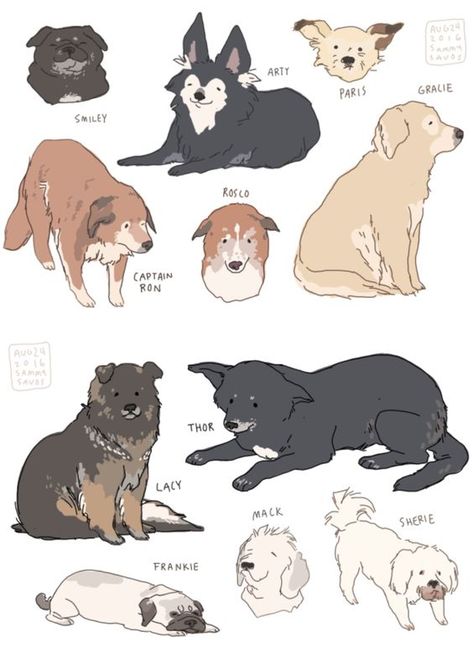 Dog Poses Reference, Dog Drawing Reference, Dog Design Art, 강아지 그림, Animal Doodles, Canine Art, Art Folder, Animal Drawing, Animal References