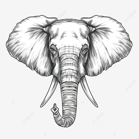 elephant head line art abstract africa african png Elephant Goddess, Elephant Face Drawing, Elephant Head Drawing, Female Flash, Elephant Line Art, Hammer Drawing, Head Line Art, South African Animals, Elephant Png