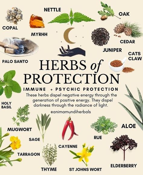 A N I M A M U N D I Apothecary on Instagram: “What does protection really mean to you? 👁🐍👁 Our body is like an onion, a multi-layered, multi-dimensional vehicle expressing itself in a…” Witchy Remedies, Herbal Guide, Magick Herbs, Herbs For Protection, Witch Tips, Magickal Herbs, Witch Herbs, Medical Herbs, Magia Das Ervas