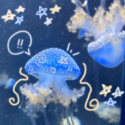 Cool Sea Creatures, Jellyfish Pictures, Piskel Art, Blue Jellyfish, Jellyfish Art, Beautiful Sea Creatures, Aquatic Animals, Ocean Vibes, Pretty Animals