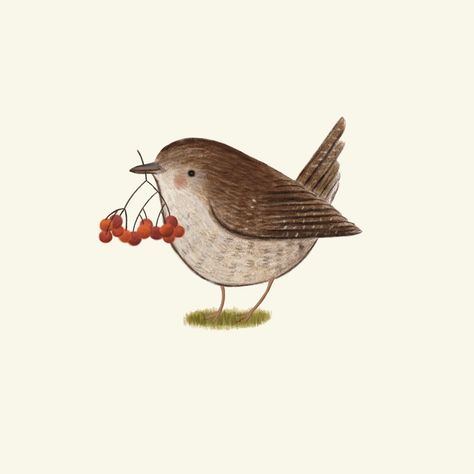 Anyone else having a busy autumn? . #wren #autumn #fall #autumnvibes🍁 #winterisxoming #birdart #illustration #nesting #foraging #illustrationart #sararhys Foraging Illustration, Wren Illustration, Bird Illustrations, Bird Illustration, Art References, Wren, Birdy, Autumn Fall, Bird Art