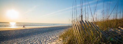 The Top Jacksonville, USA Tours & Things to Do with Viator Tomorrow, This Weekend, or in April | Viator.com Hamptons Beach, New Zealand Beach, Chincoteague Island, Lakeside Resort, Waterfront Cottage, Pier Fishing, Florida Travel, Florida Beaches, White Sand Beach