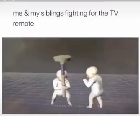 Pin by Isabella on Herp Derp [Video] | Sibling fighting, Funny cartoon quotes, Brother and sister fight Brother Sister Cartoon Sibling, Quotes Brother And Sister, Brother And Sister Quotes, Quotes Brother, Image Swag, Sisters Funny, Instagram Funny Videos, Roblox Funny, Funny Cartoon Quotes