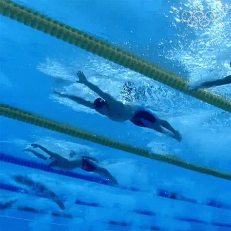 Butterfly Stroke Olympics GIF - Butterfly Stroke Olympics Swimmers - Discover & Share GIFs Swimming Strokes Butterfly, Swimming Butterfly, Swimming Gif, Butterfly Swimming, Butterfly Gif, Swimming Strokes, Swim Practice, Olympic Swimmers, Swim Team