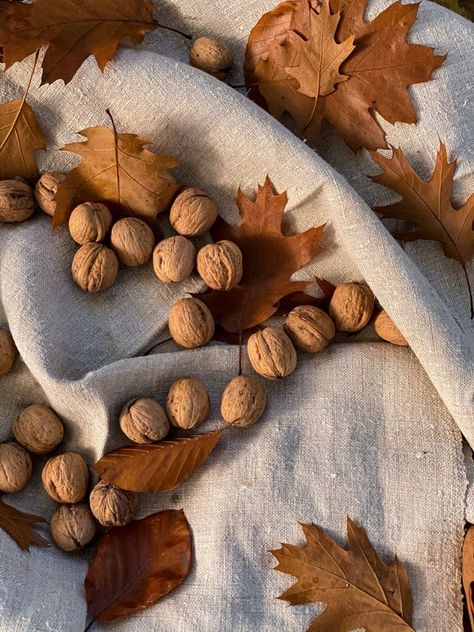 Nut Free Snacks For Kids, Pesto Nut Free, Food Photography Lighting Setup, Autumn Flatlay, Nut Butter Cookies, Nuts Recipes, Nut Free Cookies, Nut Free Pesto, Nut Free Snacks