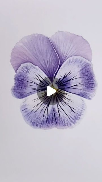 Emma Tildesley DipSBA(Dist) SBA Fellow on Instagram: "For Aprils Patreon watercolour tutorial we are painting a pretty purple pansy. This tutorial is available now, the link is in my bio, or comment Pansy and I will send you the link. 🌸  Painted on @st.cuthberts.mill  Saunders Waterford Hot Pressed 140lbs with @princetonbrush Neptune brushes   #floralart #botanicalpainting #botanicalartlovers #flowers #illustration #botanicalart #botanical #botanicalillustration #watercolour #watercolor #waterc Painting Violets Flowers, Flowers Watercolour Painting, Pansy Drawings, Watercolor Pansies Tutorial, Watercolour Pansy, Pansy Leaves, Watercolour Pansies, Pansy Illustration, Botanical Illustration Tutorial