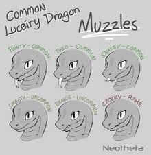 Dragon Muzzle, Art Reference Drawing, Species Ideas, Dragon Species, Oc Things, Art Bases, Draw Reference, Art Challenges, Dragon Sketch