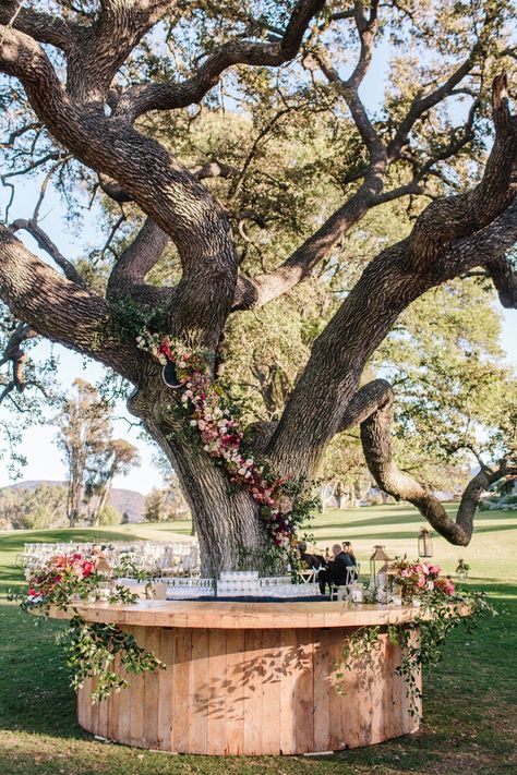 Bar Around Tree, Fall Reception Decorations, Boom Bank, Bench Around Trees, Fall Reception, Autumn Reception, Tree Bar, Ojai Valley, Tree Bench