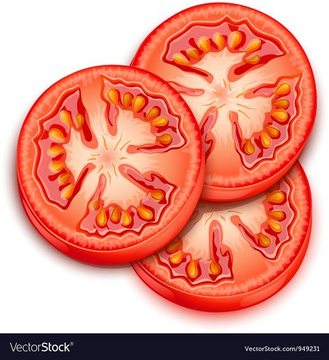 A slice of tomato Royalty Free Vector Image - VectorStock Tomato Slice Drawing, Tomato Logo, Tomato Clipart, Tomato Slice, Baby Gift Wrapping, How To Make Sandwich, Food Clips, Sliced Tomato, Banner Printing