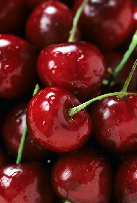 Bing Cherries, Cherry Cookies, Prismacolor Art, Reference Photos For Artists, Fruits Photos, Fruit Wallpaper, Cherry Fruit, Fruit Photography, Maraschino Cherry