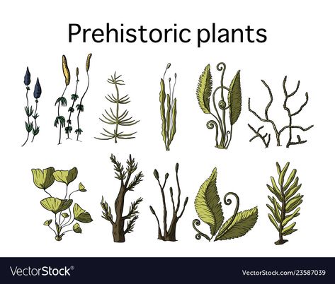 Prehistoric Plants Drawings, Prehistoric Plants Illustration, Prehistoric Flowers, Prehistoric Illustration, Jurassic Plants, Dino Museum, Extinct Plants, Prehistoric Plants, Dinosaur Plant