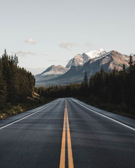 Chilled music for your Sunday mood Great American Road Trip, الفن الرقمي, World Of Wanderlust, World Most Beautiful Place, Beautiful Roads, American Road Trip, Forest Landscape, Landscape Pictures, Wall Art Canvas Painting