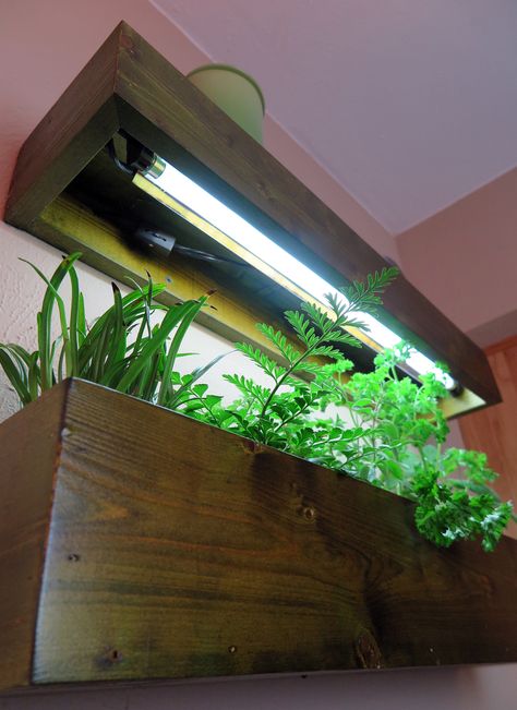 Plantgeek Chic - Kitchen Grow Light Shelves… | Halleck Horticultural Grow Light Wall Shelves, Indoor Grow Light Garden, Growing Herbs Indoors With A Grow Light, Modern Grow Light, Indoor Plant Wall With Grow Lights, Indoor Herb Garden With Grow Light, Indoor Herb Garden Grow Light, Shelves With Grow Lights, Indoor Grow Light Ideas