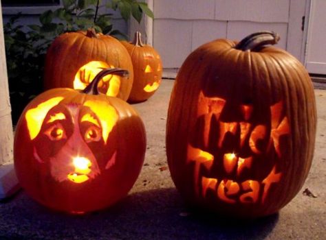 Happy Halloween, I carved my Jack Russels face into a Jack O' Lantern, or a Dog O' Lantern. I think he's pretty cool. Jack O Lantern Stencils, Dog Stencils, Dog Stencil, Dog Patterns, Jack O Lanterns, Halloween Party Supplies, Fall Holidays, Dog Pattern, Gifted Kids