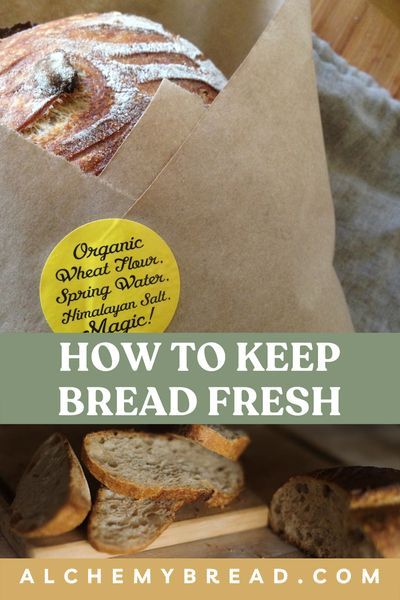 I've compiled the best ways to store homemade and artisan bread. Learn how to properly package, wrap, and store your homemade sourdough, focaccia, loafs, and baguette. This includes waste free packaging, how to freeze, and countertop storage. Baguette, Store Homemade Bread, Freezing Bread, Baking Bread At Home, Bread Gifts, Cottage Bakery, Sourdough Focaccia, Baking For Beginners, Bread Packaging