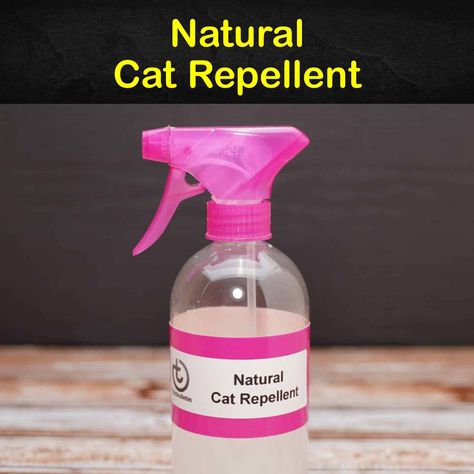 Keeping Cats Away - 12 Natural Cat Repellent Tips and Recipes Homemade Rodent Repellent, Mice Repellent Essential Oils, Diy Rat Repellent Spray, Diy Rodent Repellent, Rat Repellant Diy, How To Get Rid Of Rats In The House, How To Get Rid Of Rats Outside, Rat Traps Diy How To Make, Cat Repellant Outdoor