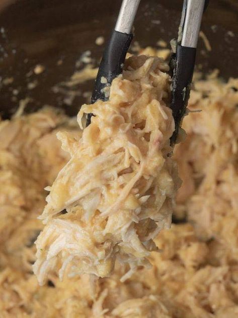 Paninis, Ohio Hot Chicken Sandwiches, Ohio Creamed Chicken Sandwiches, Cream Chicken Sandwich Crockpot, Hot Chicken Sandwiches Recipe, Keto Shredded Chicken Sandwiches, Ohio Shredded Chicken Sandwich Recipes, Ohio Shredded Chicken Sandwiches 12 Tomatoes, Instant Pot Shredded Chicken Sandwiches