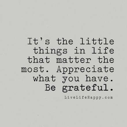 It’s the little things in life that matter the most. Appreciate what you have. Be grateful. livelifehappy.com Happy Life Quotes To Live By, Things Quotes, Live Life Happy, Appreciate Life Quotes, Appreciate What You Have, Little Things Quotes, The Little Things In Life, Little Things In Life, Love Life Quotes