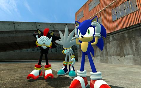 Team S Sonic Trio Pfp, Character Trios, Sonic The Hedgehog And Friends, Sonic And His Friends, Sonic And Shadow Official Art, Team Sss Sonic, Team Sonic Racing, Inuyasha Love, Silver The Hedgehog