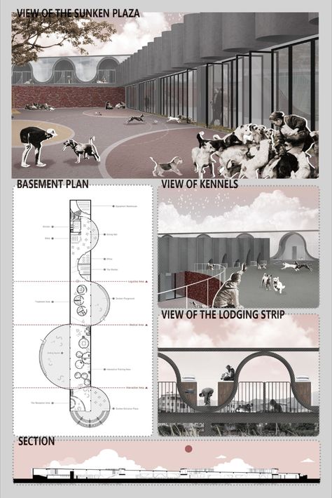 Designing an animal-welfare shelter Modern Shelter Design, Homeless Architecture Projects, Animal Architecture Concept, Dog Shelter Design, Architecture For Animals, Shelter Design Architecture, Animal Shelter Architecture, Homeless Shelter Architecture, Homeless Architecture