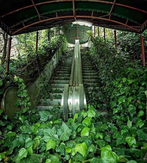 BABOON TO THE MOON on Instagram: “taking over ⠀⠀⠀⠀⠀⠀⠀⠀⠀ Photo @espinas3” Abandoned Malls, Apocalypse Aesthetic, Abandoned Cities, Abandoned Buildings, Unique Photo, Nature Aesthetic, Pretty Places, Green Aesthetic, Science And Nature