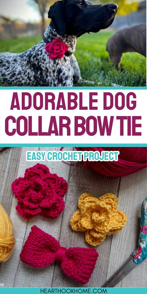 Enhance your dog's collar with these free crochet patterns for a bow tie and flower. Perfect for adding a touch of charm! Dog Beanie Pattern, Make A Bow Tie, Dog Collar Pattern, Dog Bandana Pattern, Dog Sweater Crochet Pattern, Bowtie Pattern, Make A Bow, Crochet Dog Patterns, Crochet Dog Sweater