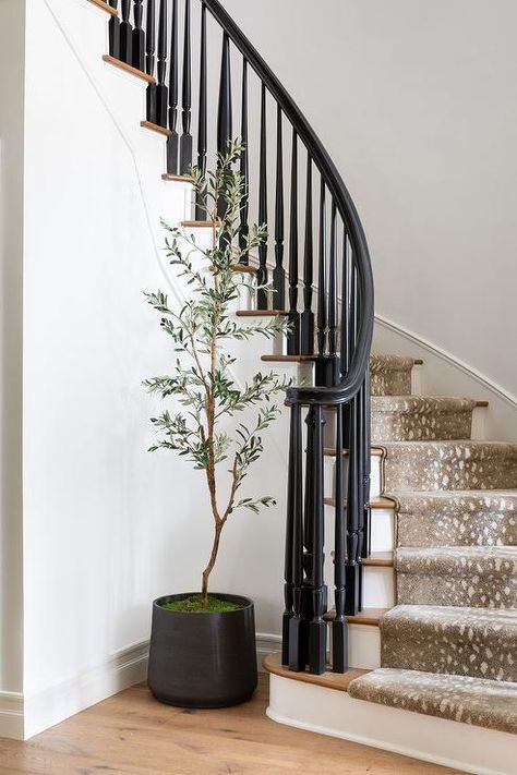 White risers complement stained wood treads covered in a gray antelope staircase runner while a plack handrail is finished with black spindles. Curved Staircase Foyer, Staircase Spindles, Black Staircase, White Staircase, Stair Spindles, Wrought Iron Staircase, Painted Staircases, Staircase Runner, Traditional Staircase