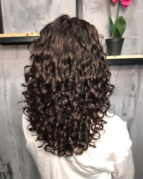 Deva Cut: What is it? How to style it? 30+ Examples of DevaCut Curly Haircuts 2023 Trends, V Shape Curly Haircut, Curly Hair Haircuts Medium, U Shaped Curly Haircut, Deva Haircut Curly, Curly Cut Long Layers, U Shaped Haircut Curly Hair, Curly Hair Cuts For Long Hair, Diva Haircut Curly