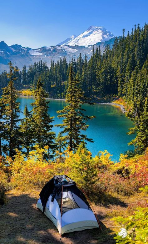 Chain Lake, Mount Baker, Washington, USA Mount Baker Washington, Pnw Trip, Pnw Travel, Nature Places, Mount Baker, Mountain Scenery, Wonders Of Nature, Washington Usa, Beautiful Mountains