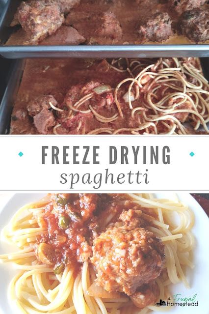 Freeze drying meals like freeze dried spaghetti and meatballs is a great way to create food storage but also cut back on meal prepping during a busy w Best Meals To Freeze Dry, Freeze Drying Meat, How To Use Freeze Dried Food, How To Freeze Dry Marshmallows, Meals To Freeze Dry, Freeze Dry Meal Recipes, Freeze Dryer Meal Recipes, Freeze Dried Meal Ideas, Freeze Drier Recipes