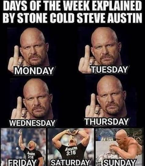 Austin 3:16, Wwe Meme, Wwe Funny Pictures, Wwe Quotes, Party Quotes Funny, Quotes Funny Humor, Wrestling Memes, Wwe Funny, Party Quotes